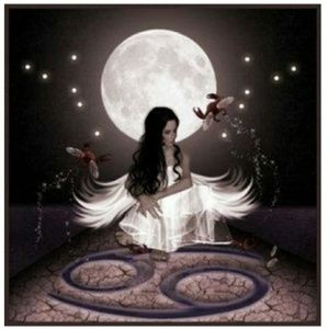 Meet your Posher, Jane